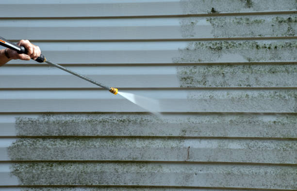 Best Affordable Pressure Washing  in Byrdstown, TN